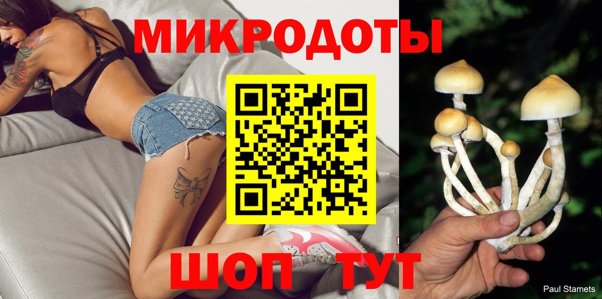 Галлюциногенные грибы мухоморы Москва